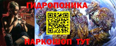 кокс Гусиноозёрск