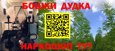 спиды Гусев