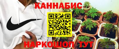 спиды Гусев