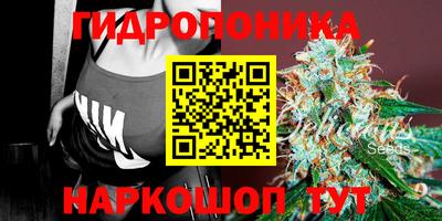 кокс Гусиноозёрск