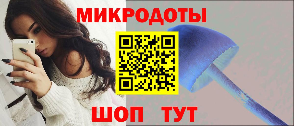 Псилоцибиновые грибы Cubensis Междуреченск